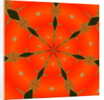 Arabesque #53, 2019 by Alex Caminker