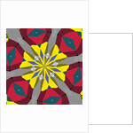 Symmetry #17, 2019 by Alex Caminker