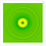 Untitled, 2019 by Alex Caminker