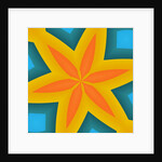 Starfish, 2019 by Alex Caminker