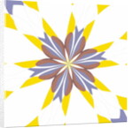 Cornflower, 2019 by Alex Caminker