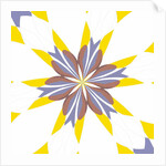 Cornflower, 2019 by Alex Caminker