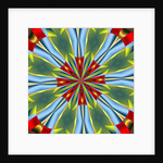 Strawberry, 2019 by Alex Caminker