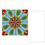 Strawberry, 2019 by Alex Caminker