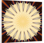 Attack and defense, 2019 by Alex Caminker