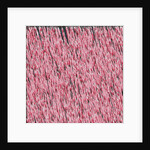 Margin I, 2019 by Alex Caminker