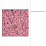 Margin I, 2019 by Alex Caminker