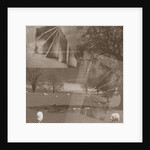 Sheep, 2019 by Alex Caminker