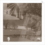 Sheep, 2019 by Alex Caminker