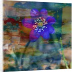 Blue note II, 2019 by Alex Caminker