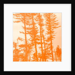 If the trees were orange, 2019 by Alex Caminker
