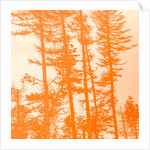 If the trees were orange, 2019 by Alex Caminker