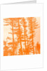 If the trees were orange, 2019 by Alex Caminker