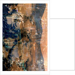 Fluidity rules, 2019 by Alex Caminker