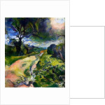 country lane sunset by Mark Gordon