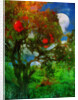 orchard in moonlight by Mark Gordon