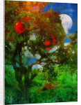 orchard in moonlight by Mark Gordon