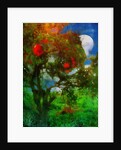 orchard in moonlight by Mark Gordon