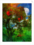 orchard in moonlight by Mark Gordon