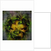 Green man by Mark Gordon