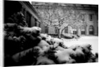 Frick Collection Winter Nº3, 2017 by Guilherme Pontes