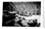 Frick Collection Winter Nº3, 2017 by Guilherme Pontes