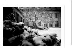 Frick Collection Winter Nº3, 2017 by Guilherme Pontes