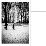 Central Park Steps, 2017 by Guilherme Pontes