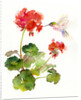 Hummingbird with Geranium, 2015 by John Keeling