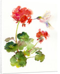 Hummingbird with Geranium, 2015 by John Keeling