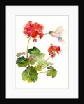 Hummingbird with Geranium, 2015 by John Keeling
