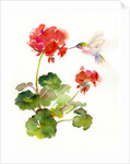 Hummingbird with Geranium, 2015 by John Keeling