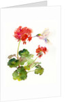 Hummingbird with Geranium, 2015 by John Keeling