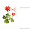Hummingbird with Geranium, 2015 by John Keeling