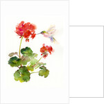 Hummingbird with Geranium, 2015 by John Keeling
