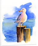 Seagull on dock, 2014, by John Keeling