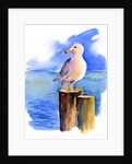 Seagull on dock, 2014, by John Keeling