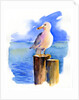 Seagull on dock, 2014, by John Keeling