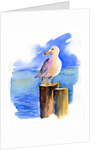 Seagull on dock, 2014, by John Keeling