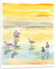 Seagulls on beach, 2014 by John Keeling