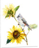 Titmouse with Sunflower, 2016 by John Keeling