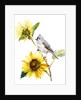 Titmouse with Sunflower, 2016 by John Keeling