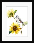 Titmouse with Sunflower, 2016 by John Keeling