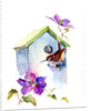Wren with birdhouse and clematis, 2016 by John Keeling