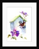 Wren with birdhouse and clematis, 2016 by John Keeling