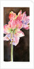 Amaryllis with brown background, 2015 by John Keeling
