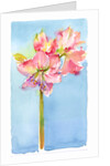 Amaryllis with aqua background, 2015 by John Keeling