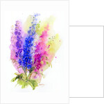 Delphinium, 2016 by John Keeling