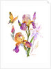 Iris with yellow butterfly, 2016 by John Keeling