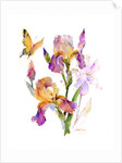 Iris with yellow butterfly, 2016 by John Keeling
